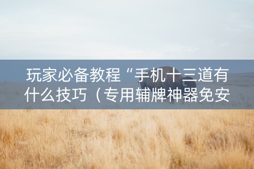 玩家必备教程“手机十三道有什么技巧（专用辅牌神器免安装）