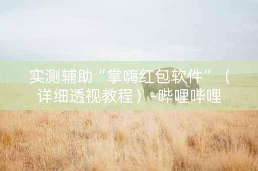 实测辅助“掌嗨红包软件”（详细透视教程）-哔哩哔哩