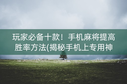 玩家必备十款！手机麻将提高胜率方法(揭秘手机上专用神器)