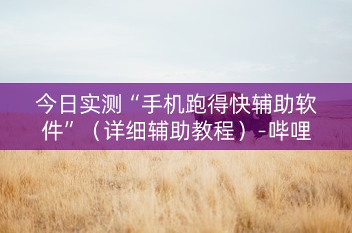 今日实测“手机跑得快辅助软件”（详细辅助教程）-哔哩哔哩