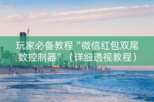 玩家必备教程“微信红包双尾数控制器”（详细透视教程）-哔哩哔哩