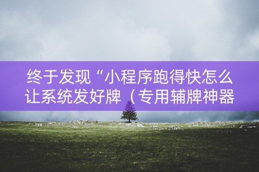 终于发现“小程序跑得快怎么让系统发好牌（专用辅牌神器免安装）