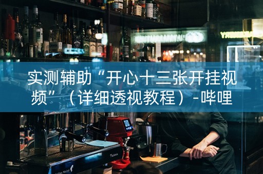 实测辅助“开心十三张开挂视频”（详细透视教程）-哔哩哔哩