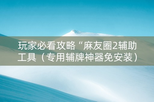 玩家必看攻略“麻友圈2辅助工具（专用辅牌神器免安装）