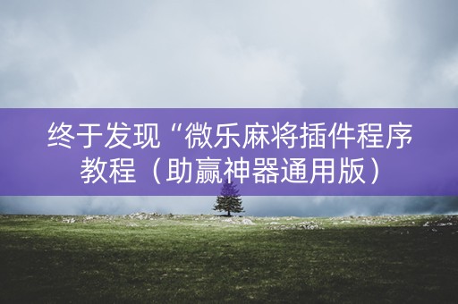 终于发现“微乐麻将插件程序教程（助赢神器通用版）