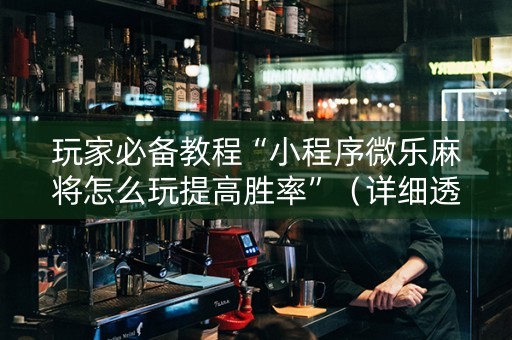玩家必备教程“小程序微乐麻将怎么玩提高胜率”（详细透视教程）-哔哩哔哩