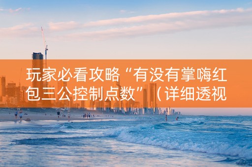 玩家必看攻略“有没有掌嗨红包三公控制点数”（详细透视教程）-哔哩哔哩