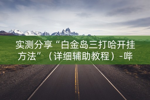 实测分享“白金岛三打哈开挂方法”（详细辅助教程）-哔哩哔哩