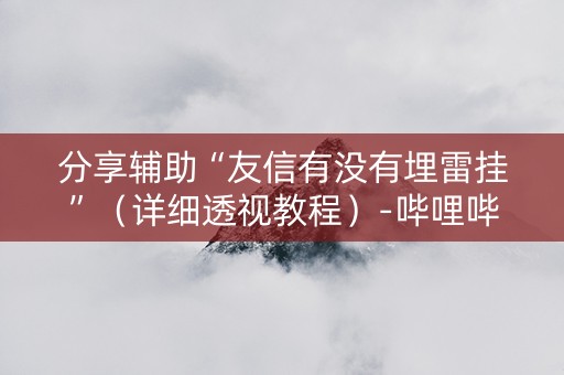 分享辅助“友信有没有埋雷挂”（详细透视教程）-哔哩哔哩