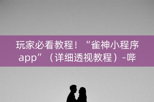玩家必看教程！“雀神小程序app”（详细透视教程）-哔哩哔哩