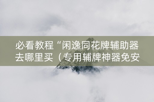 必看教程“闲逸同花牌辅助器去哪里买（专用辅牌神器免安装）