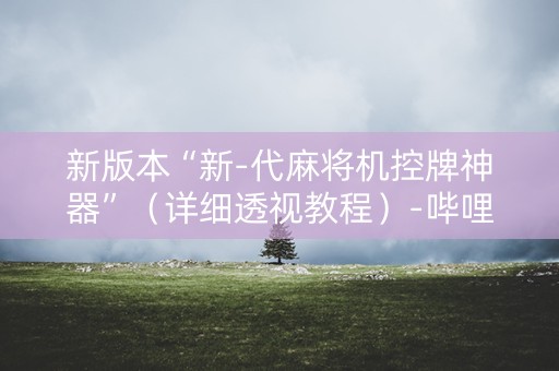 新版本“新-代麻将机控牌神器”（详细透视教程）-哔哩哔哩