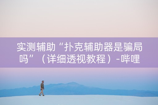 实测辅助“扑克辅助器是骗局吗”（详细透视教程）-哔哩哔哩