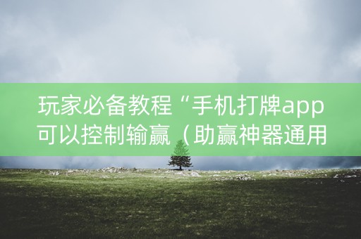 玩家必备教程“手机打牌app可以控制输赢（助赢神器通用版）