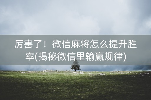 厉害了！微信麻将怎么提升胜率(揭秘微信里输赢规律)