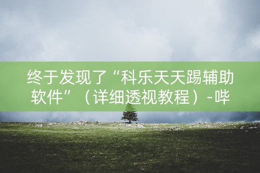 终于发现了“科乐天天踢辅助软件”（详细透视教程）-哔哩哔哩