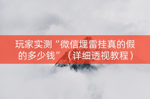 玩家实测“微信埋雷挂真的假的多少钱”（详细透视教程）-哔哩哔哩
