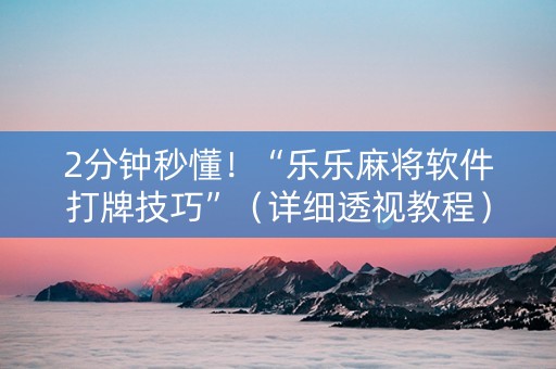2分钟秒懂！“乐乐麻将软件打牌技巧”（详细透视教程）-哔哩哔哩