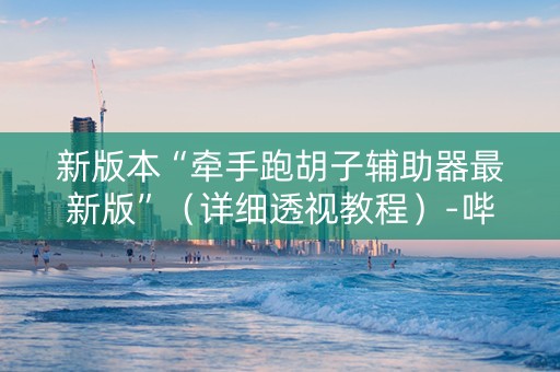新版本“牵手跑胡子辅助器最新版”（详细透视教程）-哔哩哔哩