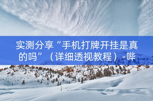 实测分享“手机打牌开挂是真的吗”（详细透视教程）-哔哩哔哩