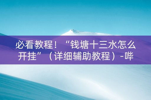必看教程！“钱塘十三水怎么开挂”（详细辅助教程）-哔哩哔哩