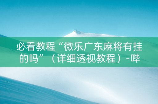 必看教程“微乐广东麻将有挂的吗”（详细透视教程）-哔哩哔哩