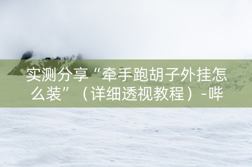 实测分享“牵手跑胡子外挂怎么装”（详细透视教程）-哔哩哔哩