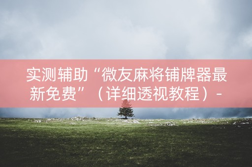 实测辅助“微友麻将铺牌器最新免费”（详细透视教程）-哔哩哔哩