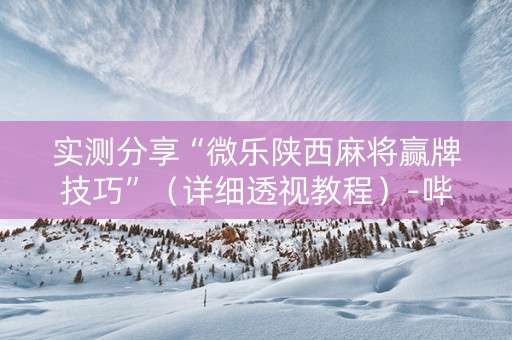 实测分享“微乐陕西麻将赢牌技巧”（详细透视教程）-哔哩哔哩