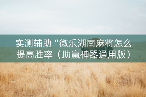 实测辅助“微乐湖南麻将怎么提高胜率（助赢神器通用版）