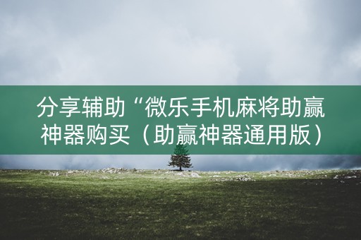 分享辅助“微乐手机麻将助赢神器购买（助赢神器通用版）