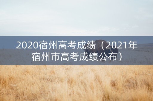 2020宿州高考成绩（2021年宿州市高考成绩公布）