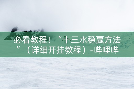 必看教程！“十三水稳赢方法”（详细开挂教程）-哔哩哔哩