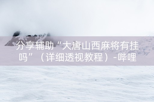 分享辅助“大唐山西麻将有挂吗”（详细透视教程）-哔哩哔哩