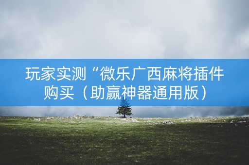 玩家实测“微乐广西麻将插件购买（助赢神器通用版）