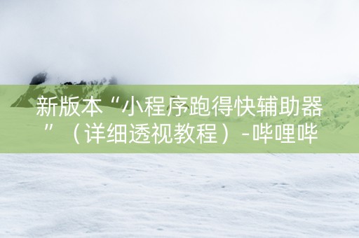 新版本“小程序跑得快辅助器”（详细透视教程）-哔哩哔哩