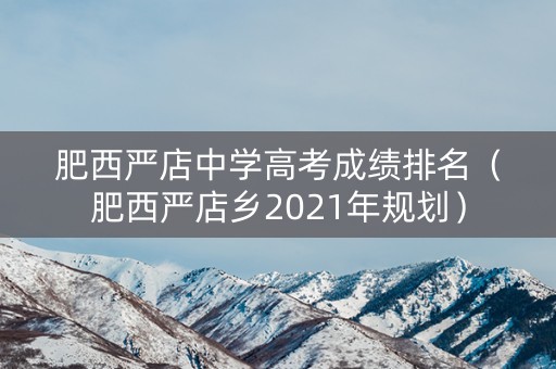 肥西严店中学高考成绩排名（肥西严店乡2021年规划）
