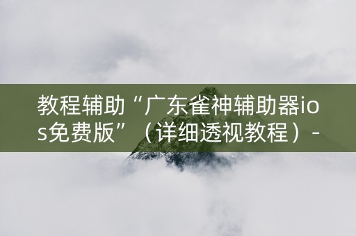 教程辅助“广东雀神辅助器ios免费版”（详细透视教程）-哔哩哔哩