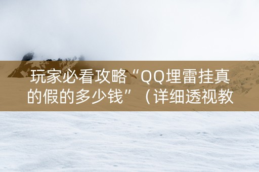 玩家必看攻略“QQ埋雷挂真的假的多少钱”（详细透视教程）-哔哩哔哩