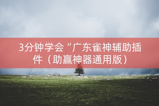 3分钟学会“广东雀神辅助插件（助赢神器通用版）