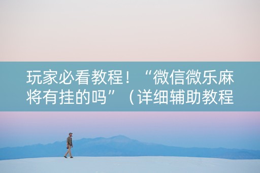 玩家必看教程！“微信微乐麻将有挂的吗”（详细辅助教程）-哔哩哔哩