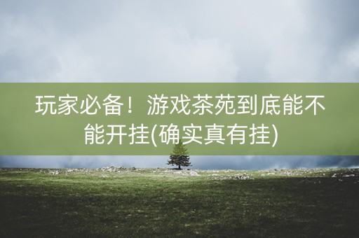 玩家必备！游戏茶苑到底能不能开挂(确实真有挂)