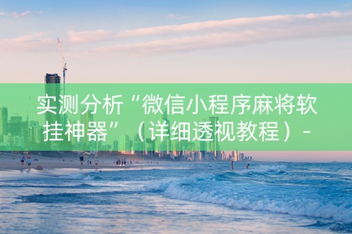 实测分析“微信小程序麻将软挂神器”（详细透视教程）-哔哩哔哩