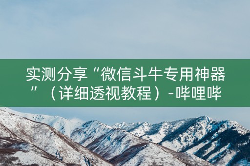 实测分享“微信斗牛专用神器”（详细透视教程）-哔哩哔哩