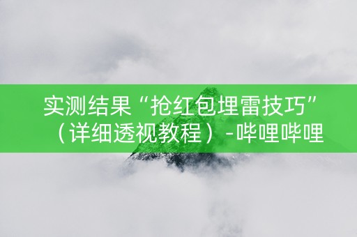 实测结果“抢红包埋雷技巧”（详细透视教程）-哔哩哔哩