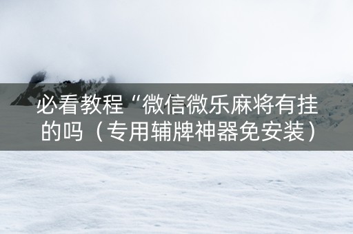 必看教程“微信微乐麻将有挂的吗（专用辅牌神器免安装）