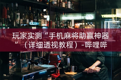 玩家实测“手机麻将助赢神器”（详细透视教程）-哔哩哔哩
