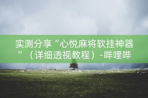 实测分享“心悦麻将软挂神器”（详细透视教程）-哔哩哔哩