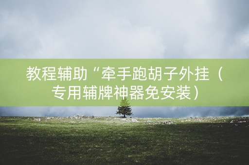 教程辅助“牵手跑胡子外挂（专用辅牌神器免安装）