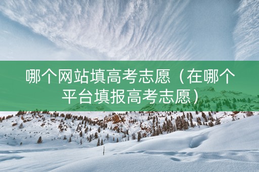 哪个网站填高考志愿（在哪个平台填报高考志愿）